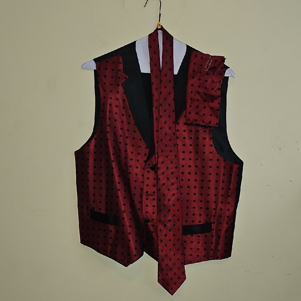 Elegant Red Polka Dot Vest and Tie Set - Picture 1 of 4